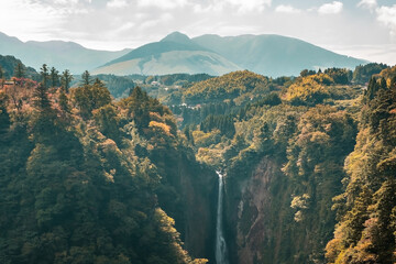Waterfall in the forrest, Landscape view of Kokonoe Yume from Kokonoe Yume Suspension Bridge