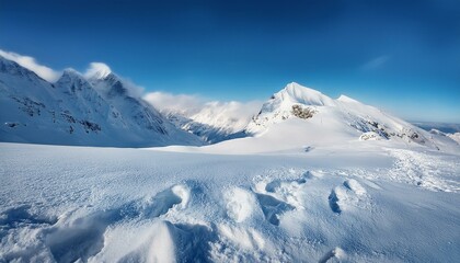 Experience the magic of a winter wonderland.  