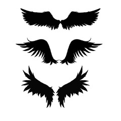 Obraz premium Vector Black raven wing isolated with feather texture , Vector,. Wing of bird isolated on white background. Wings icons set on transparent background. Angel wings icon vector set. Eagle, bird,