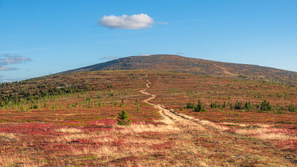 Obraz premium Winding dirt road stretches through a vibrant autumn landscape, leading the eye towards a distant mountain peak under a serene blue sky dotted with a solitary cloud