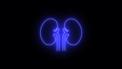 Kidneys icon. Human anatomy. Kidneys Nephrology Icon