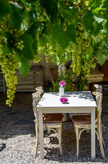 Greek restaurant tables under a vine canopy providing shady areas for people to sit. Alfresco dining cuisine.