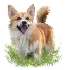 A colour image of a corgi with an oil painting effect. Full figure, realistic