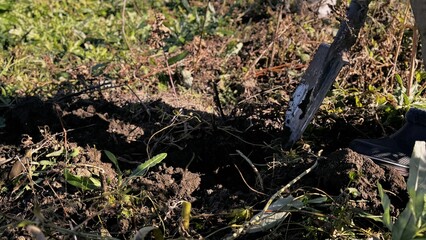 Gardening activity in the backyard during a sunny afternoon with a person digging in the soil