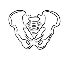Human Organs and Anatomy Related Objects and Elements. Hand Drawn Vector Doodle Illustration