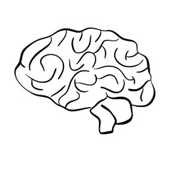 Human Organs and Anatomy Related Objects and Elements. Hand Drawn Vector Doodle Illustration