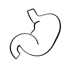 Human Organs and Anatomy Related Objects and Elements. Hand Drawn Vector Doodle Illustration