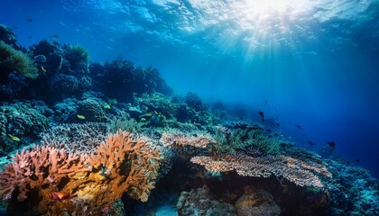 Fototapeta premium Explore underwater caves and their hidden wonders. 