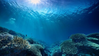 Explore the significance of oceans in global ecosystems.  