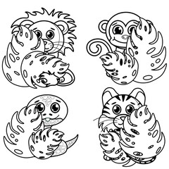 Coloring page for kids and adults. Mermaid colouring book. Cartoon cute animals including lion, tiger, monkey, snake.