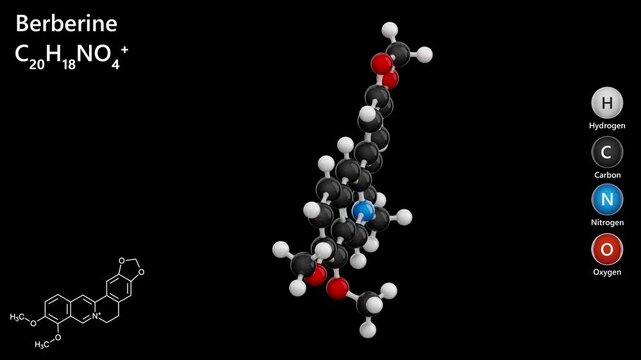 Berberine. Alkaloid antibiotic. Animated 3D model of a molecule. Molecular formula: C20H18NO4. Chemical model: Ball and stick. Black background. 3D rendering. Seamless loop.
