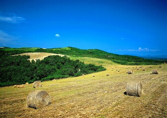 Bright Field HDR Natural Background