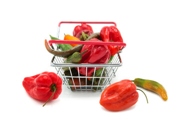 Shopping supermarket basket with fresh organic ripe with assorted colorful peppers whole isolated...