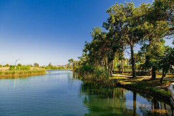 Obraz premium landscape with lake and trees