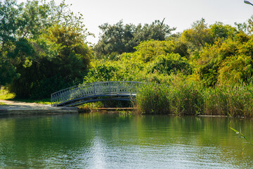 Fototapeta premium the river in the park