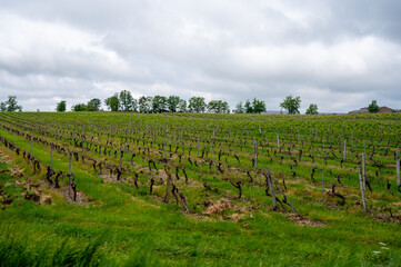 View on vineyards of Cahors, Controlled designation of origin in South West France wine-region with dominant grape variety red Malbec