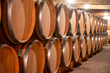 WIne celler with french oak barrels for aging of red wine made from Cabernet Sauvignon grape...