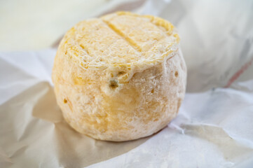 Cheese collection, soft goat French cheese with mold crottin de Chavignol produced near Sancerre on cheese farm, Loire Valley close up