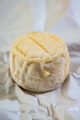 Cheese collection, soft goat French cheese with mold crottin de Chavignol produced near Sancerre on cheese farm, Loire Valley close up