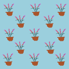 植木鉢の紫色のお花