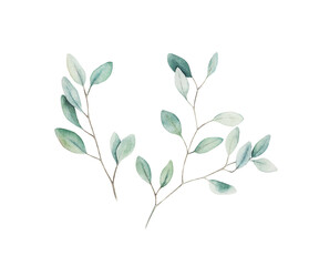 Watercolor set of branch of leaves on white background. Hand drawn summer illustration. Isolated image