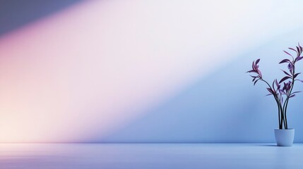 A Single Plant in a White Pot Against a Gradient Wall