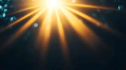 The sun is shining through the trees, casting a warm glow on the forest floor