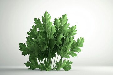 Fresh Mizuna Leaves in 3D Stylized Illustration