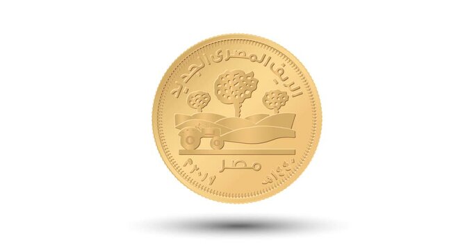 50 piastres of Egypt. New Egyptian Village. The coin appear on the screen with a captivating style. Animated vector coin. Money animation.