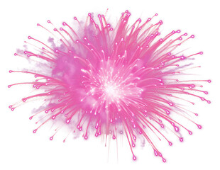 Obraz premium PNG Pink fireworks launching in the sky black background illuminated celebration.