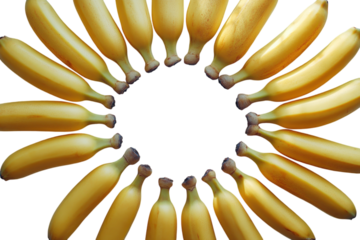 Arrangement of yellow bananas in a circular pattern on a white background