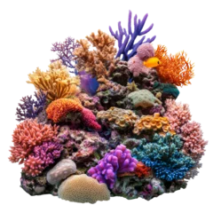 Fototapete Rund Diverse marine life in coral reef ecosystem © Maestro