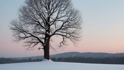 Fototapeta premium 北の雪景色_1本の木_02