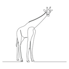 Continuous single line sketch drawing of wild giraffe standing tall in wildlife editable stroke vector illustration