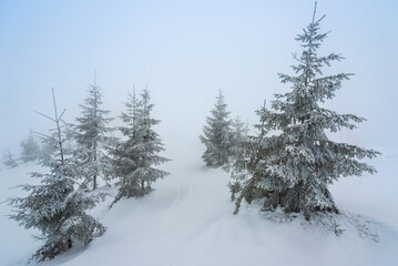 European Winter Beauty in the Carpathians: Snowy Peaks and Blue Skies. New Year Inspiration