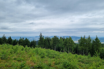 Scenic Mountain View with Lush Greenery and Forest Horizon on a Cloudy Day