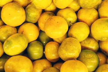 Vibrant Yellow and Green Lemons: Fresh Citrus Abundance for Kitchen Decor and Food Photography