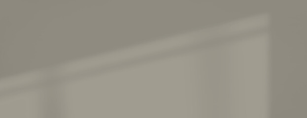Minimalist shadow background with soft gray tones. The background features a smooth texture. Gray color creates a calm background effect. Minimal soft shadow background vector