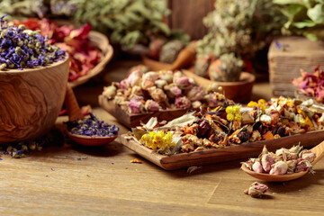 Various dried medicinal plants, herbs, and flowers on an old wooden background.