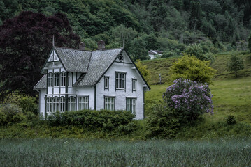 Old abandoned white wooden house in the green nature