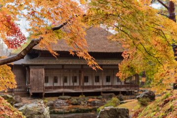 紅葉のある風景