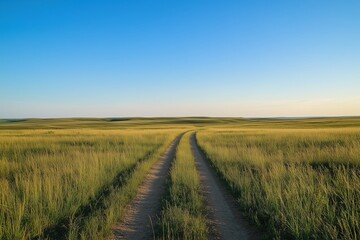 Naklejka premium A road cuts through a field of tall grass