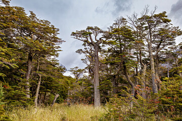 The Landscape at Ushuaia in Argentina