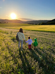 Fototapeta premium Family walking through a field at sunset enjoying the view