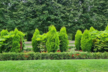 Lush Green Landscaping with Vibrant Shrubs and Trees for Outdoor Design