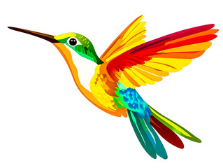 Fototapeta premium Colorful Hummingbird in Flight