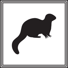 Ferret of Llama  vector illustration on white background.