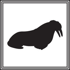 Seal silhouette illustration for wildlife and ocean-inspired designs
