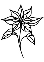 Lined Poinsettia flower vector illustration 