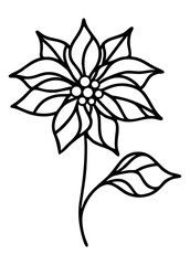 Lined Poinsettia flower vector illustration 